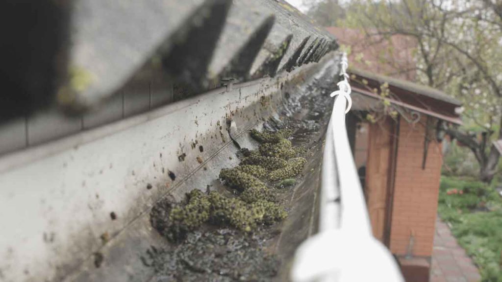 Gutter Repair Limerick