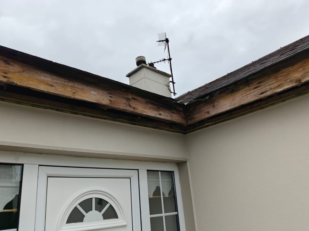 gutter maintenance services