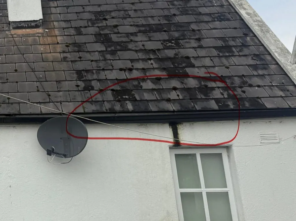 Are Your Gutter Repairs Enough To Safeguard Your Blackrock, Cork Property?